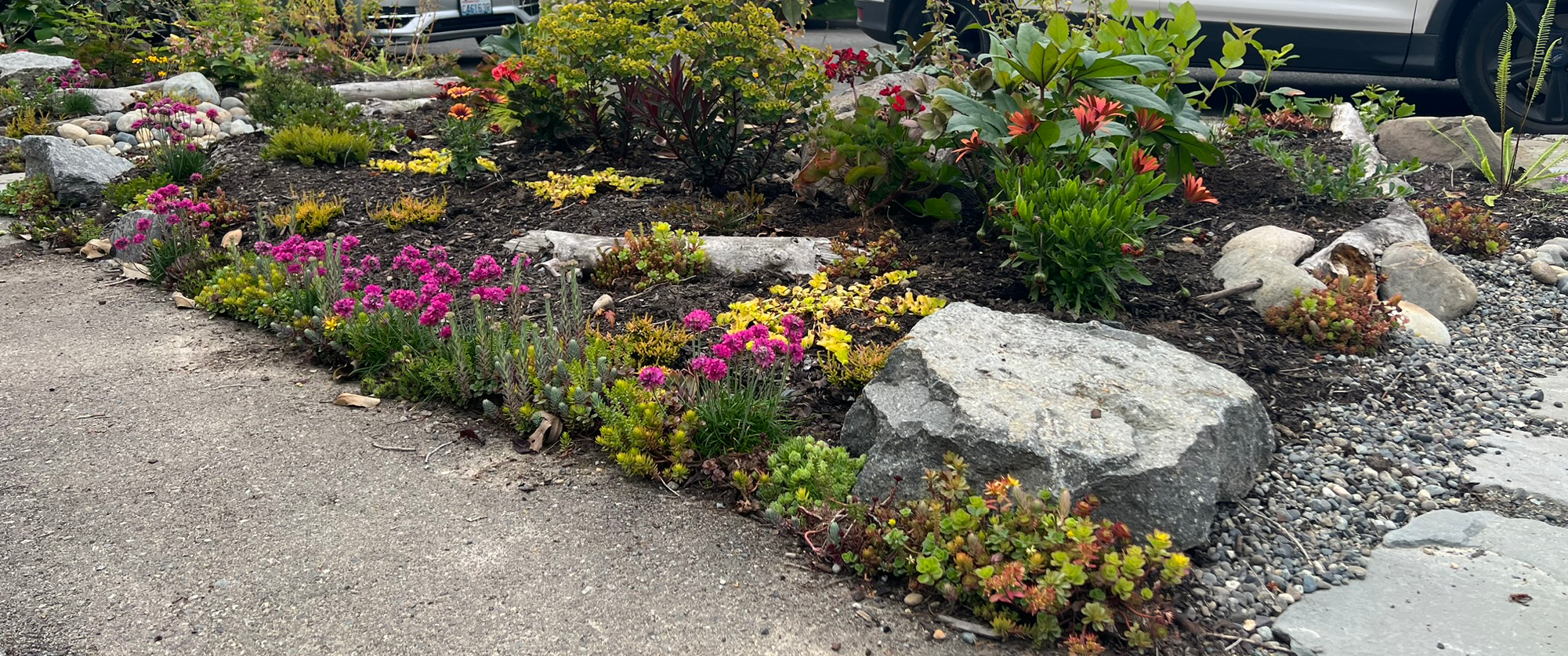 Ravenna Landscape Renovation