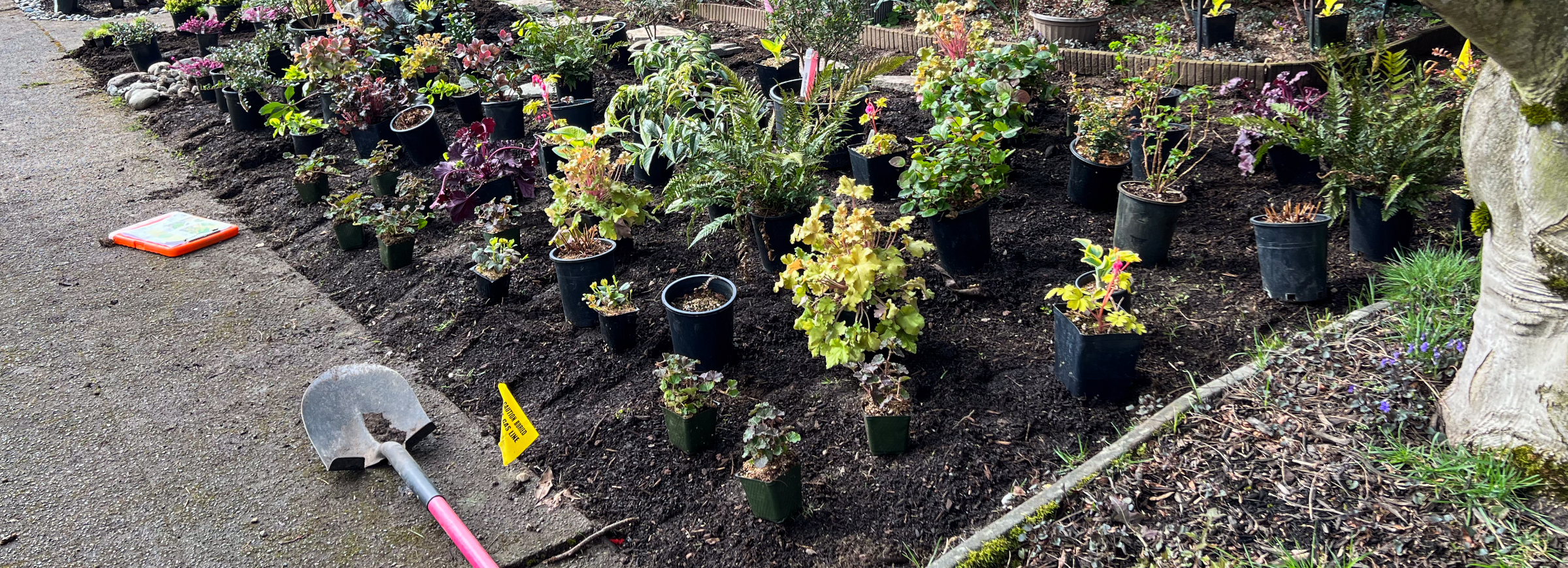 Ravenna Landscape Renovation